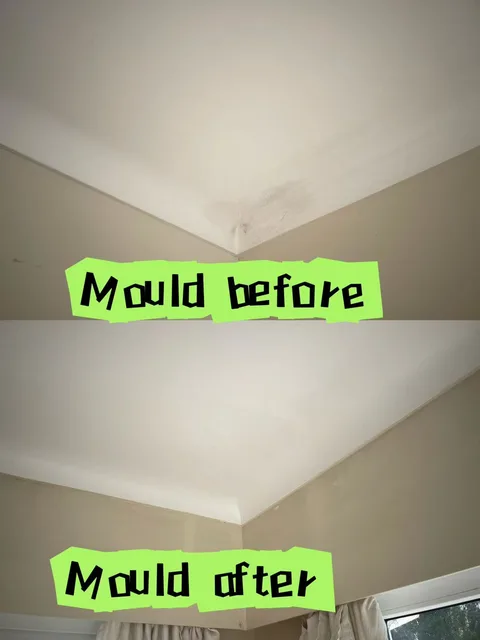 带有 Mould before 和 Mould after 原始标注的天花板转角对比照